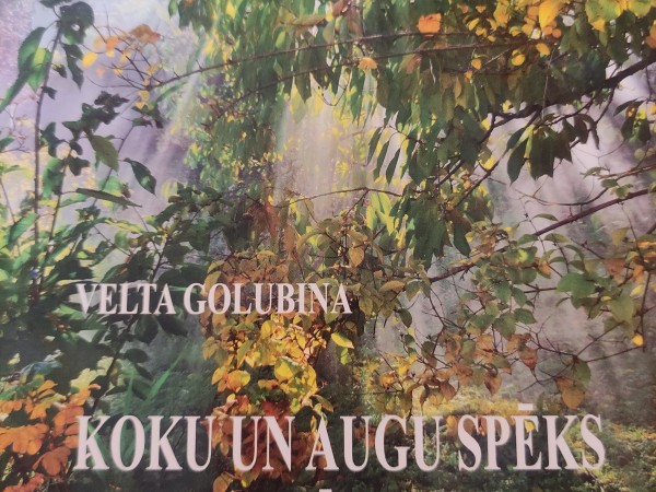 Koku un augu spēks tavai veselībai