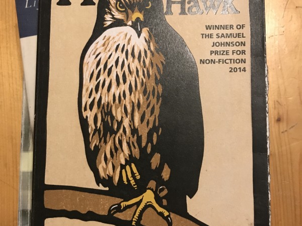 H is for Hawk