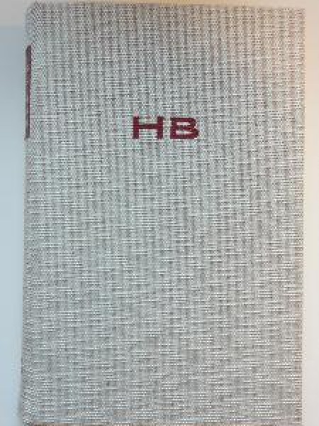 Cilvēks dzīves spogulī