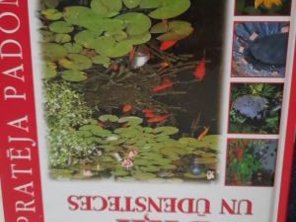 Dārza dīķi un ūdensteces