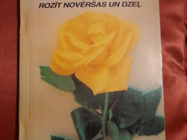 Rozīt novēršas un dzeļ