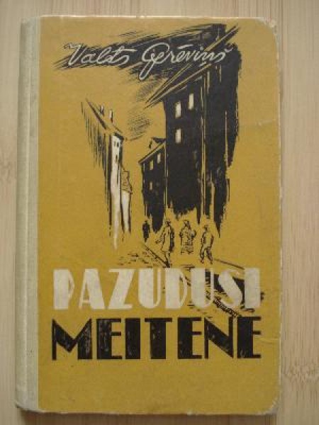 Pazudusī meitene