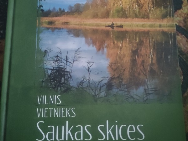 Saukas skices