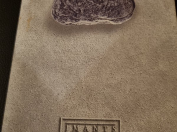 I.Ziedonis_12.sējums