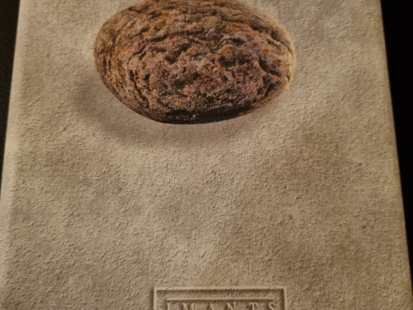 I.Ziedonis_kopotie rakstin1.sējums