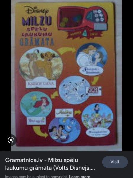 Milzu spēļu laukumu grāmata