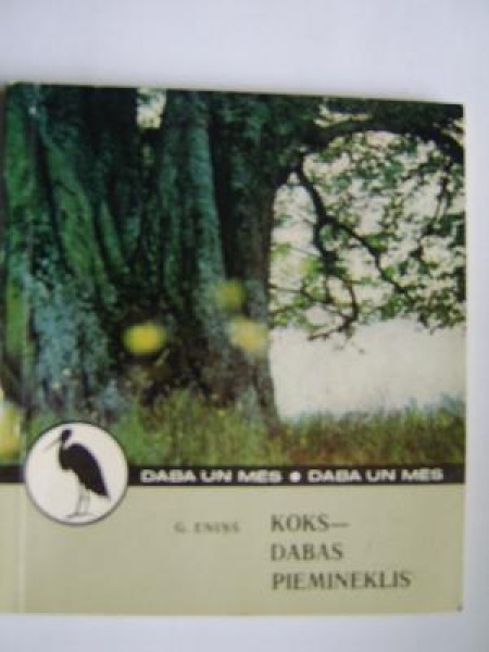 Koks- dabas piemineklis