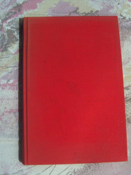 Kaķi,ja tu būtu cilvēks