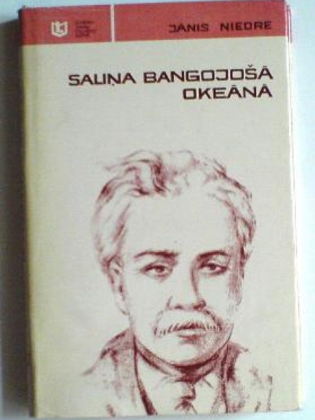 Saliņa bangojošā okeānā