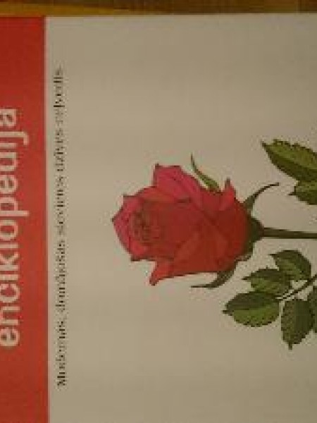 Sievietes laimes enciklopēdija