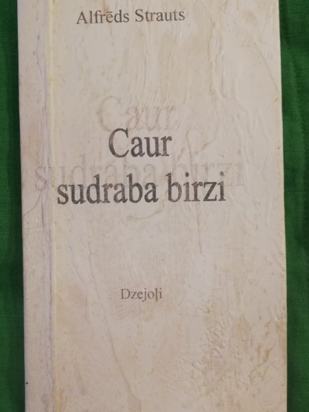 Caur sudraba birzi