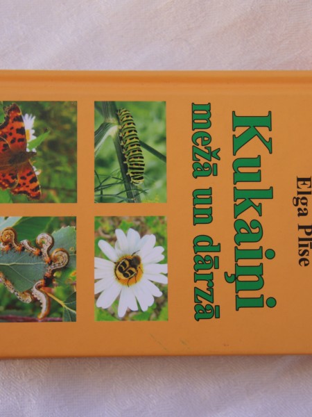 Kukaiņi mežā un dārzā