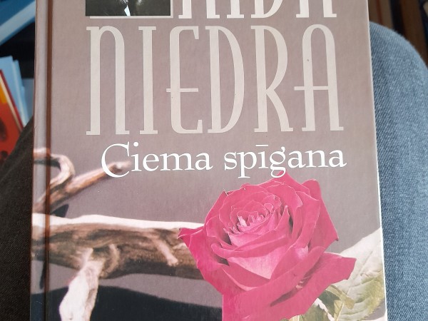 Ciema spīgana