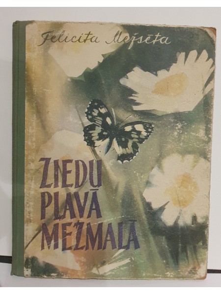 Ziedu pļavā mežmalā
