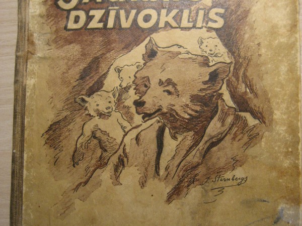 Jaunais dzīvoklis