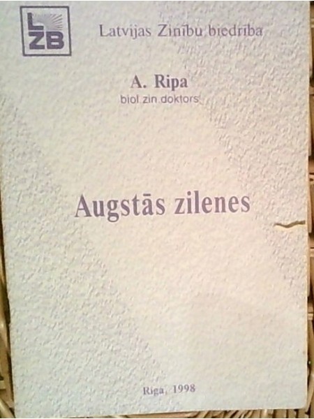 Augstās zilenes
