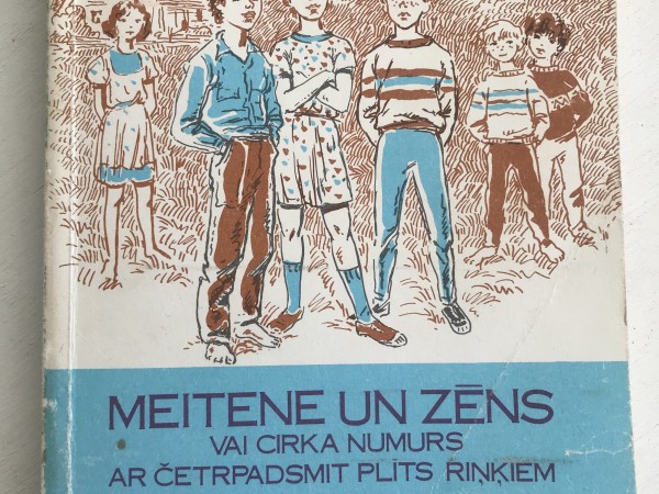 Meitene un zēns vai Cirka numurs ar četrpadsmit plīts riņķiem
