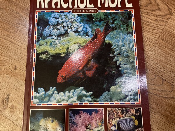 Красное море