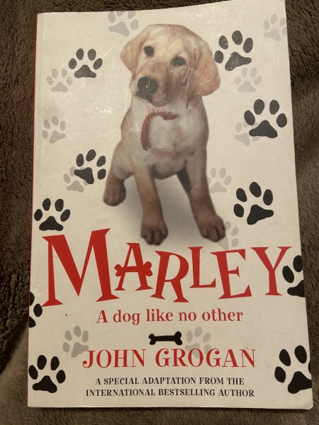 Marley: A dog like no other