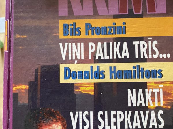 Viņi palika trīs...Naktī visi slepkavas ir pelēki