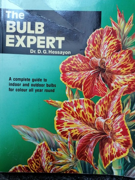 The Bulb Expert