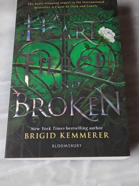 A Heart So Fierce And Broken