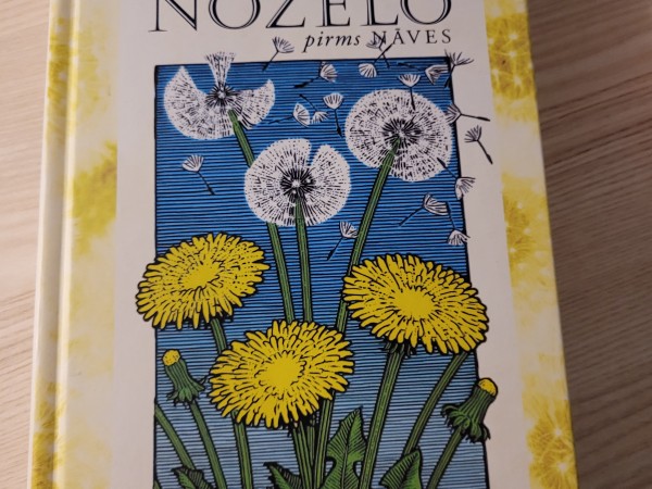 Piecas lietas, ko cilvēki visbiežāk nožēlo pirms nāves