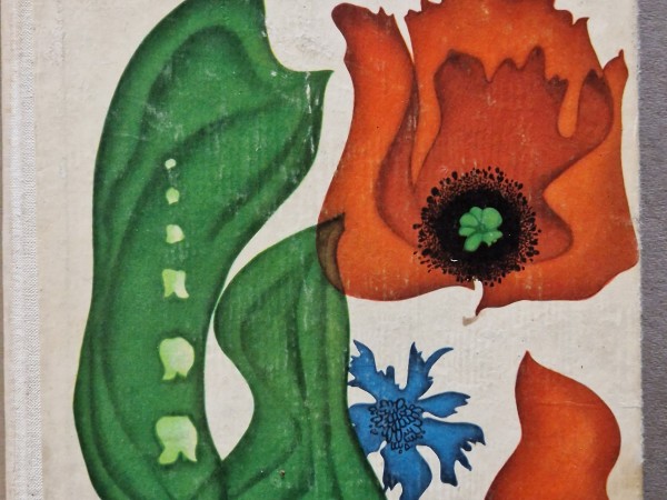 Savvaļas ārstniecības augi