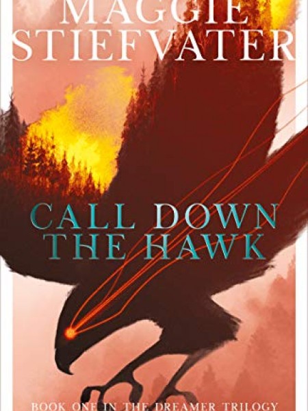 Call Down the Hawk: The Dreamer Trilogy #1