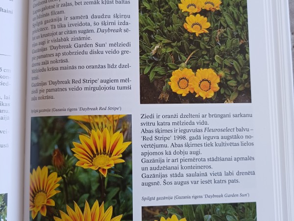 Dārza puķu enciklopēdija