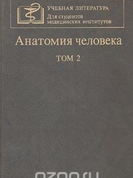 Анатомия человека. В двух томах. Том 2