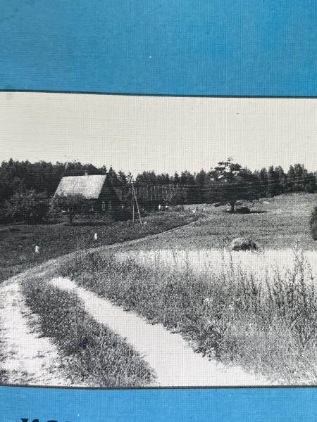 когда смотрю на небеса