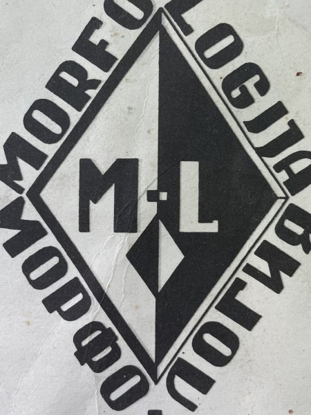 Morfo-loģija 1 numurs