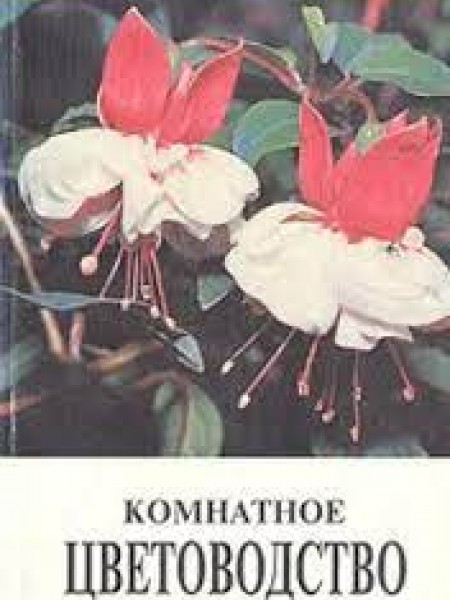 Комнатное цветоводство