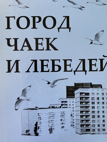 Город чаек и лебедей