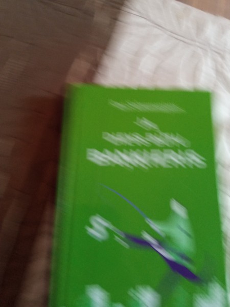 Ja Dievs būtu baņķieris