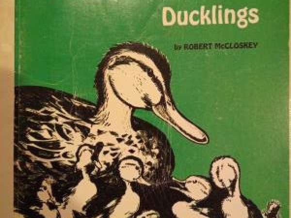 Make way for ducklings