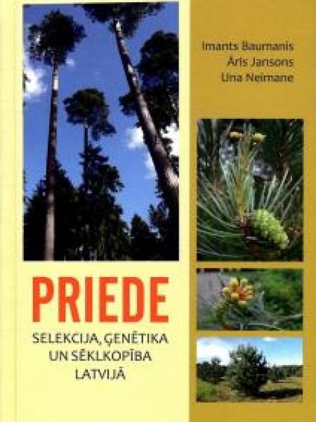 Priede. Selekcija, ģenētika un sēklkopība Latvijā