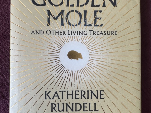 The Golden Mole