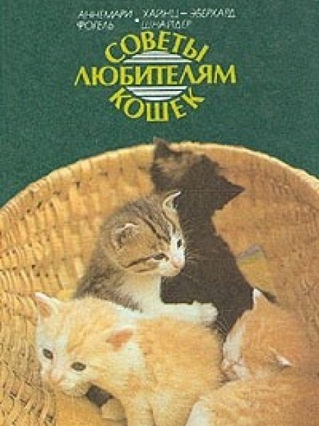 Советы любителям кошек