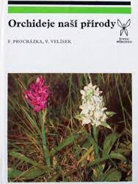 Orchideje naši prirody