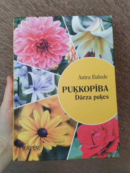 Puķkopība Dārza puķes