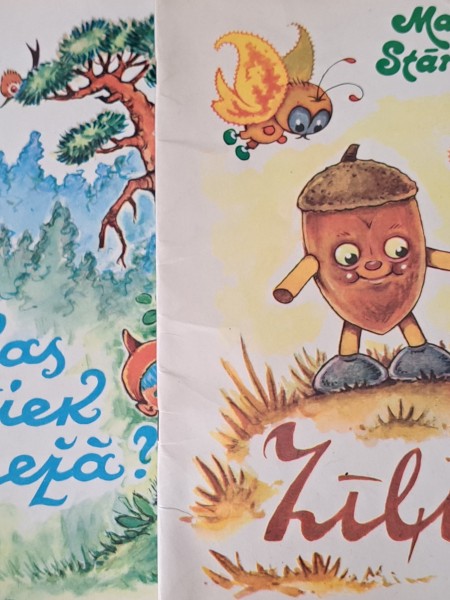 Kas notiek dižmežā. Zīļuks.