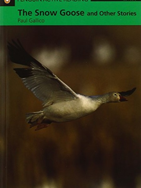 The Snow Goose/III daļa/active reading