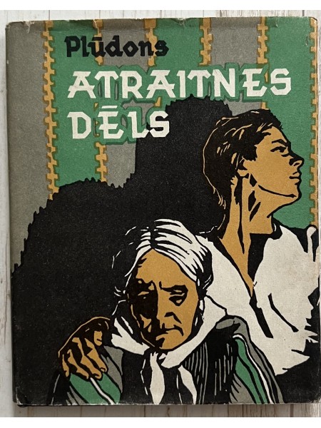 Atraitnes dēls
