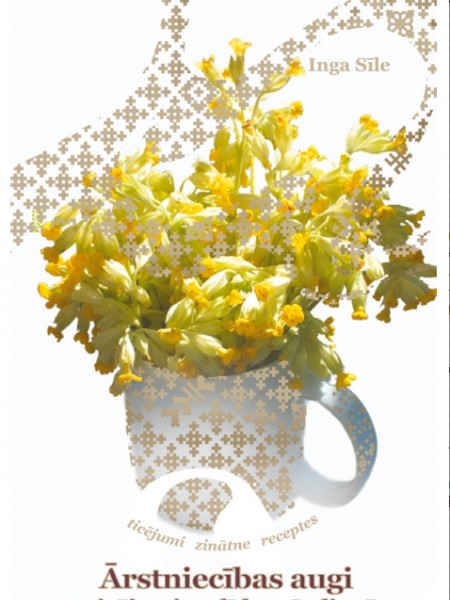 Ārstniecības augi no ticējumiem līdz mūsdienām