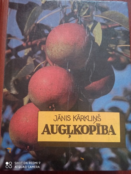 Augļkopība