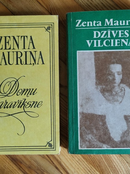 Dzīves vilcienā/Domu varavīksne