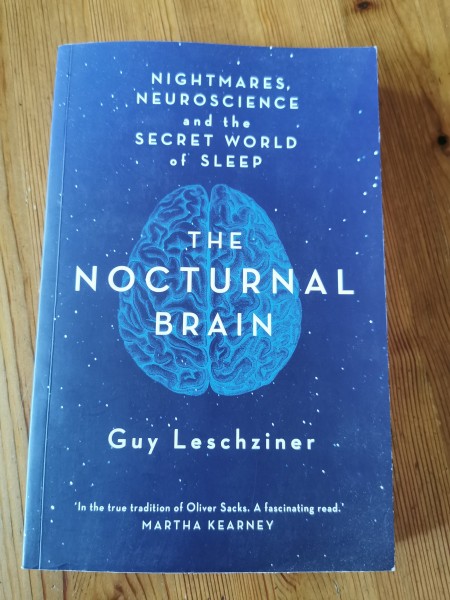 The nocturnal brain