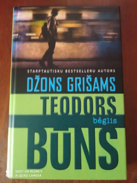 Teodors bēglis Būns